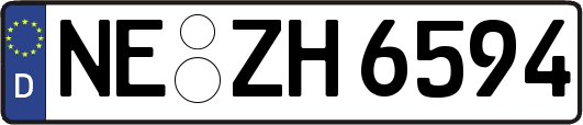 NE-ZH6594