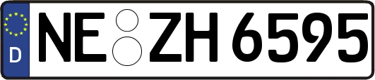 NE-ZH6595