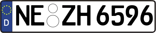 NE-ZH6596