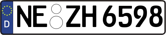 NE-ZH6598