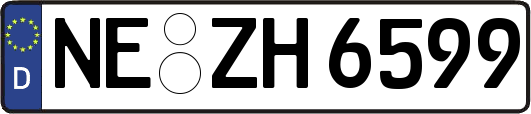NE-ZH6599