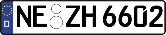 NE-ZH6602