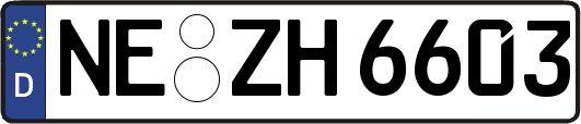 NE-ZH6603