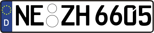 NE-ZH6605