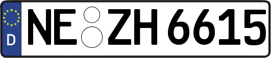 NE-ZH6615