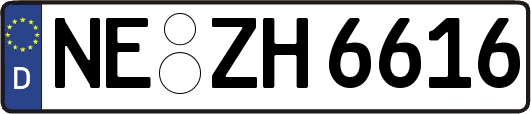 NE-ZH6616