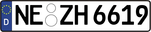 NE-ZH6619