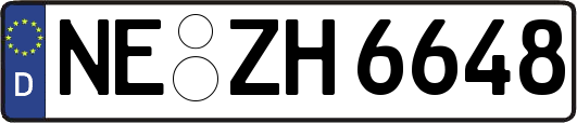 NE-ZH6648