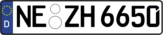NE-ZH6650