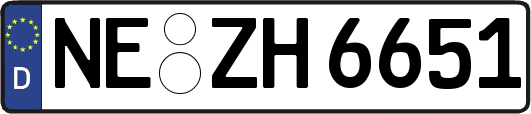 NE-ZH6651