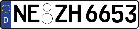 NE-ZH6653