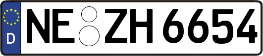 NE-ZH6654