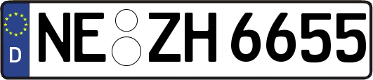 NE-ZH6655