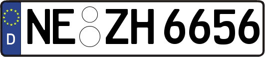 NE-ZH6656