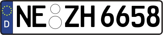 NE-ZH6658