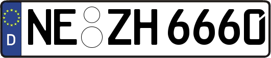 NE-ZH6660