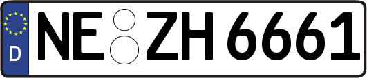 NE-ZH6661