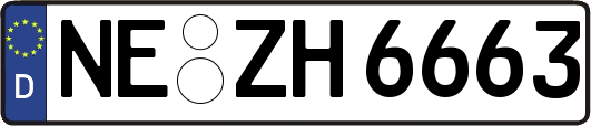 NE-ZH6663