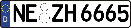 NE-ZH6665