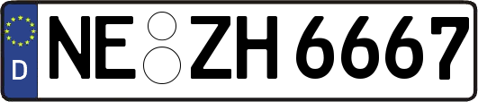 NE-ZH6667