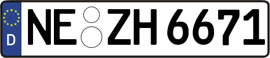 NE-ZH6671