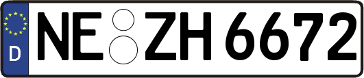 NE-ZH6672