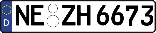 NE-ZH6673