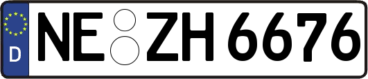NE-ZH6676