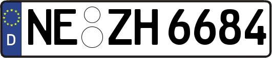 NE-ZH6684