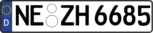 NE-ZH6685