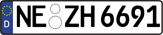 NE-ZH6691