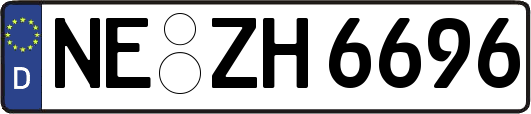 NE-ZH6696