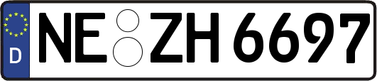 NE-ZH6697