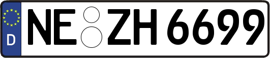 NE-ZH6699