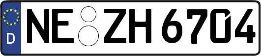 NE-ZH6704
