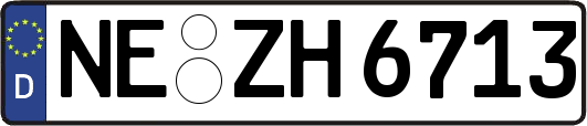 NE-ZH6713