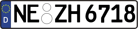 NE-ZH6718