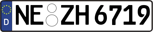 NE-ZH6719