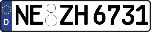 NE-ZH6731