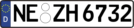 NE-ZH6732