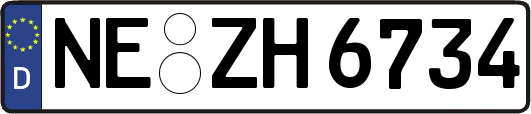 NE-ZH6734