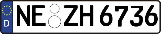 NE-ZH6736