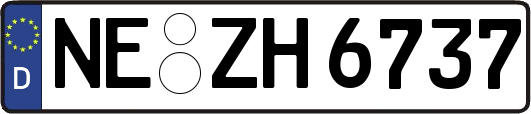 NE-ZH6737