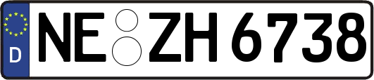 NE-ZH6738