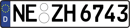 NE-ZH6743