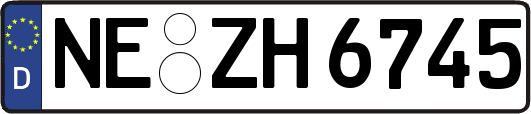 NE-ZH6745