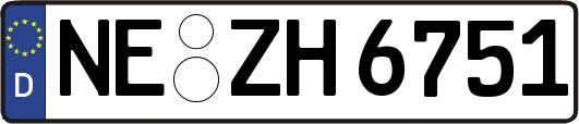 NE-ZH6751