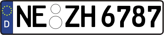 NE-ZH6787