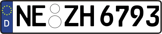 NE-ZH6793
