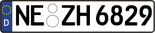 NE-ZH6829